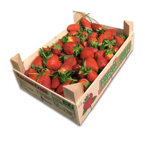 Fresas (Caja 2kg)